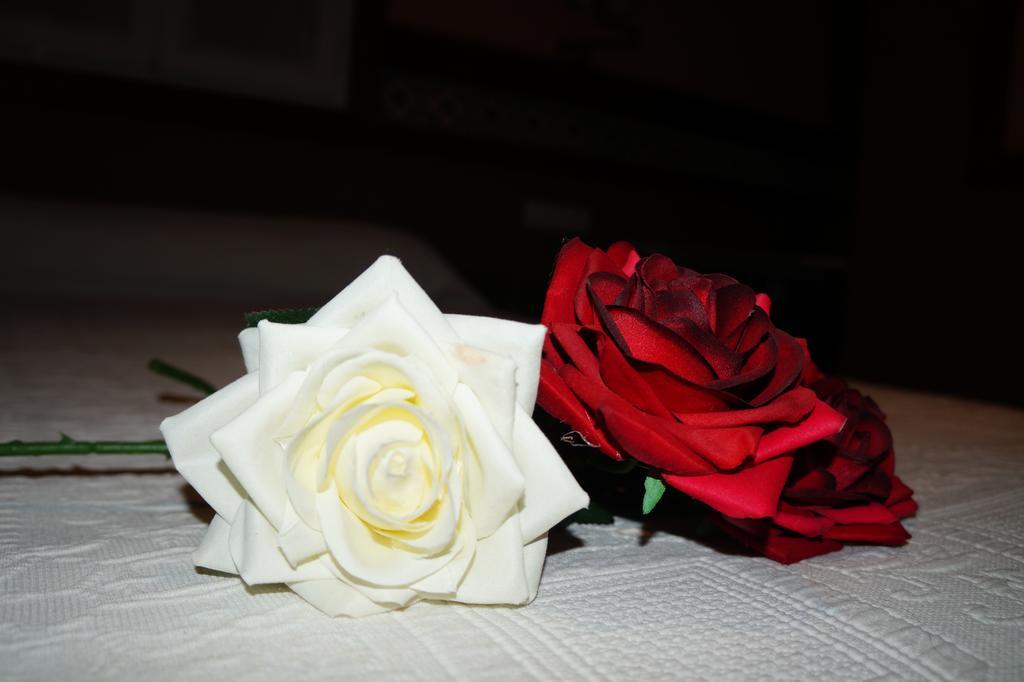 Hostal La Conilena Conil De La Frontera Cameră foto